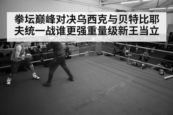 boxer training gym