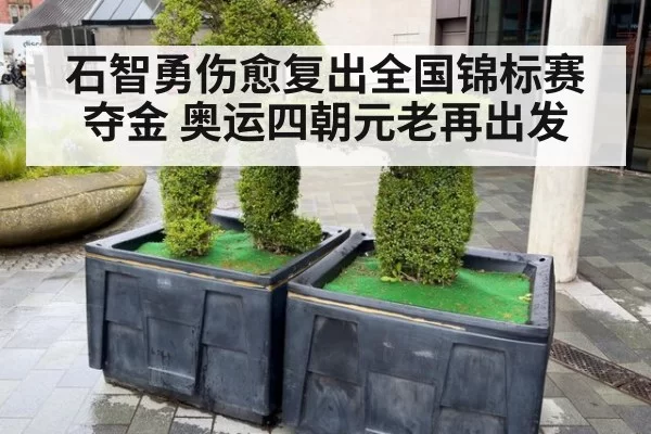 石智勇伤愈复出全国锦标赛夺金 奥运四朝元老再出发
